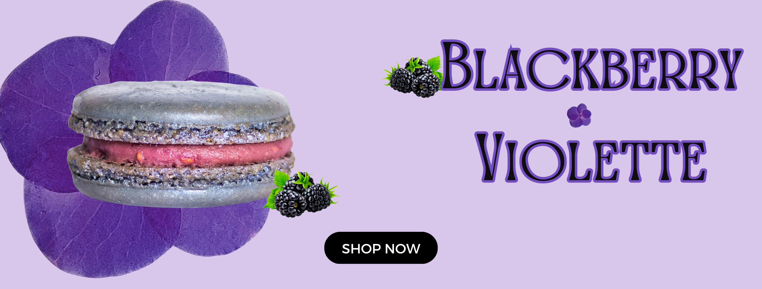 blackberry violette