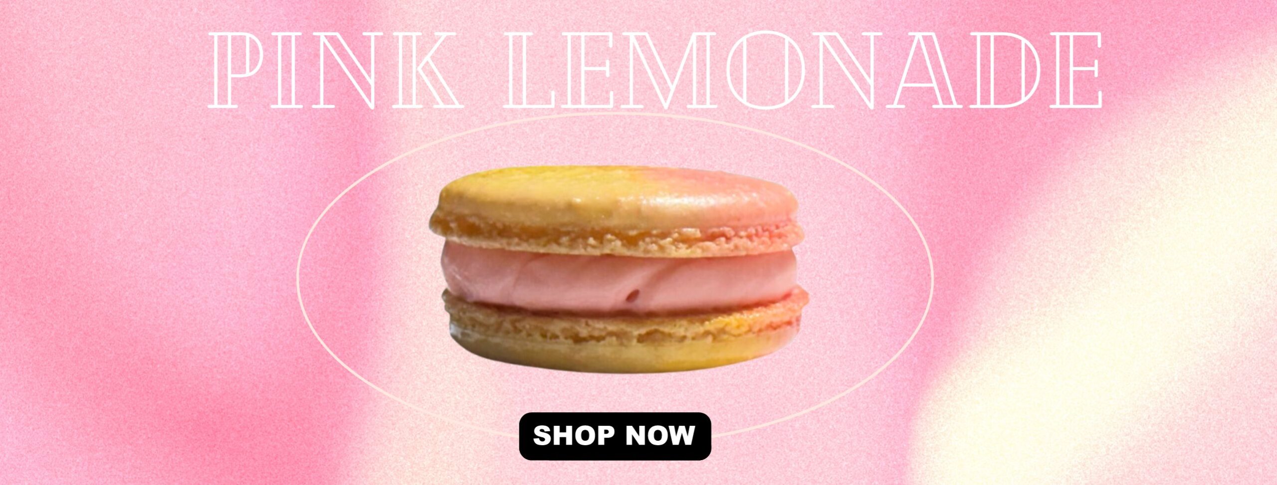 PINK LEMONADE BANNER (1)