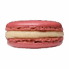 Tropical Guava