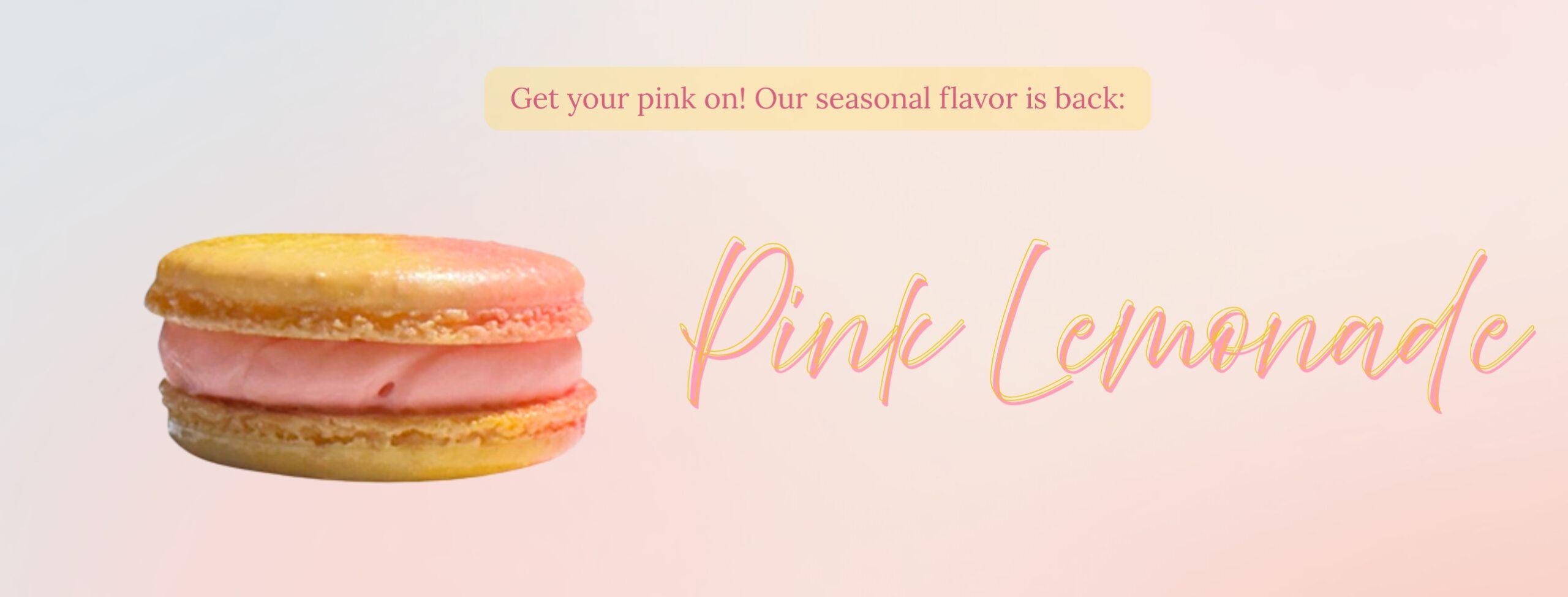 Pink Lemonade Banner 2025 (1)