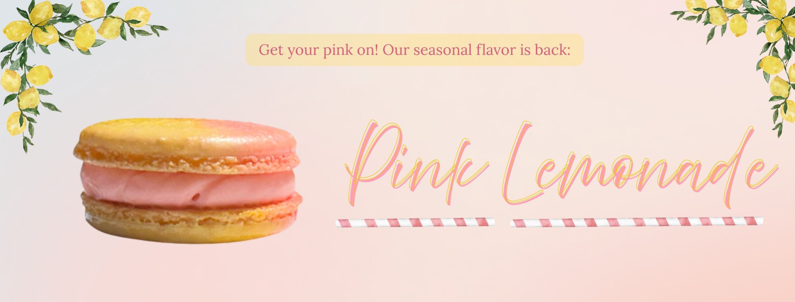 Pink Lemonade Banner 2025